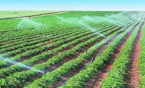爆操小嫩逼AⅤ农田高 效节水灌溉
